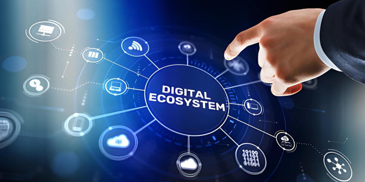 Digital solutions for special economic zones