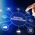 Digital solutions for special economic zones