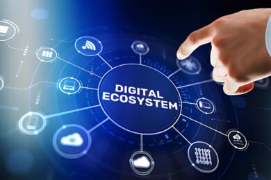 Digital solutions for special economic zones